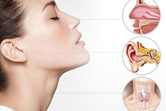 Antalya Kulak Burun Boğaz Doktoru